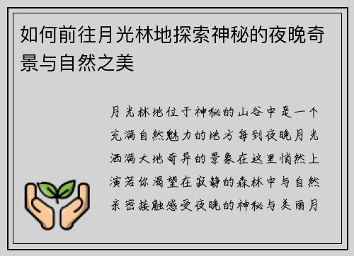 如何前往月光林地探索神秘的夜晚奇景与自然之美